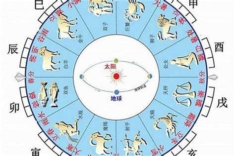 天干地支是什麼|地支